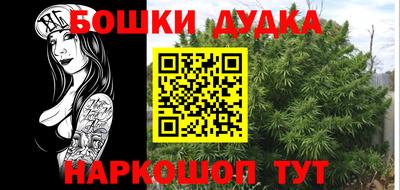тгк Будённовск