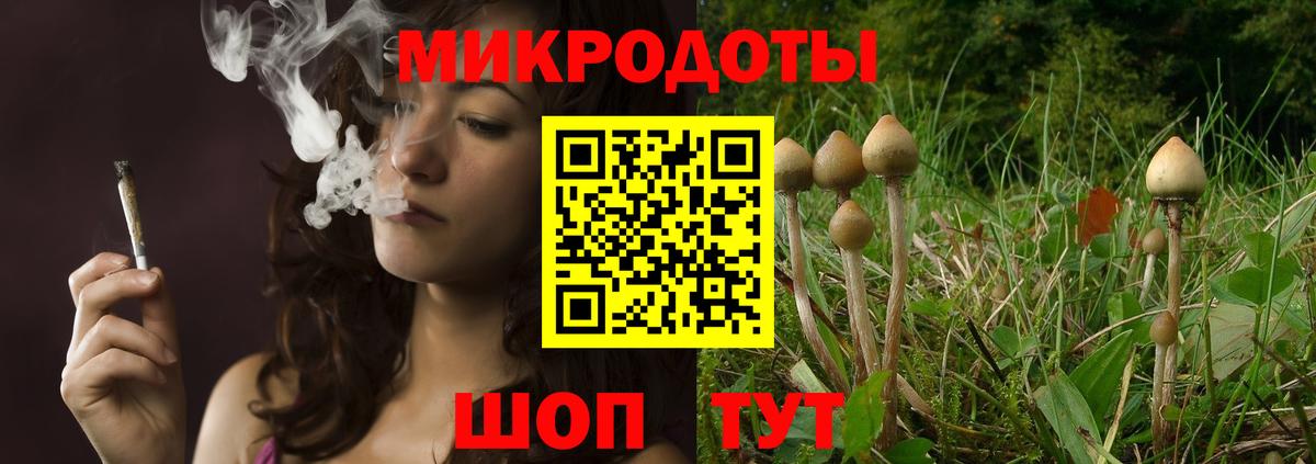 Галлюциногенные грибы Cubensis  закладки  Менделеевск  Вход с VPN 